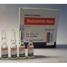Testosterone Enanthate Galenika 100ampules x 1ml/250mg